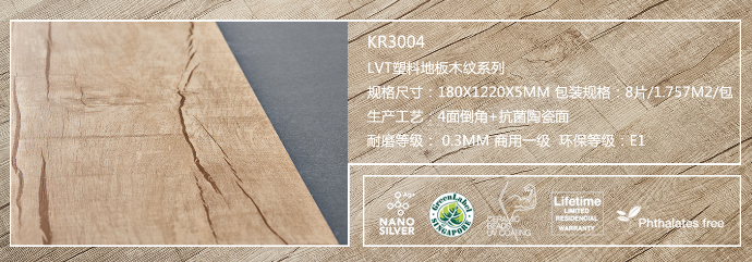 KR3004